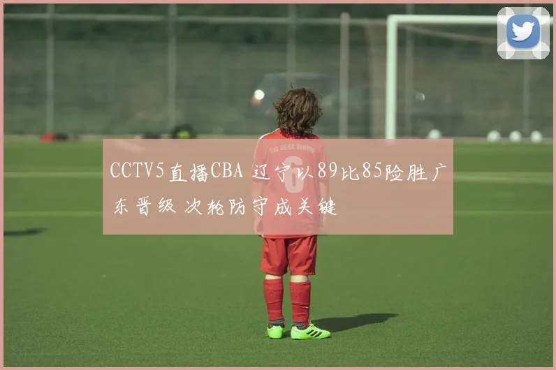 CCTV5直播CBA 辽宁以89比85险胜广东晋级 次轮防守成关键