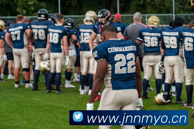 滚球官网app平台生态图